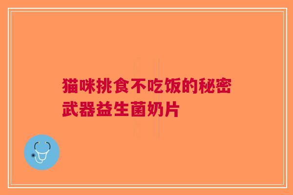 猫咪挑食不吃饭的秘密武器益生菌奶片