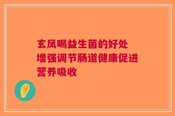 玄凤喝益生菌的好处 增强调节肠道健康促进营养吸收