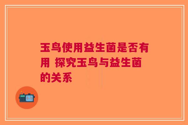 玉鸟使用益生菌是否有用 探究玉鸟与益生菌的关系