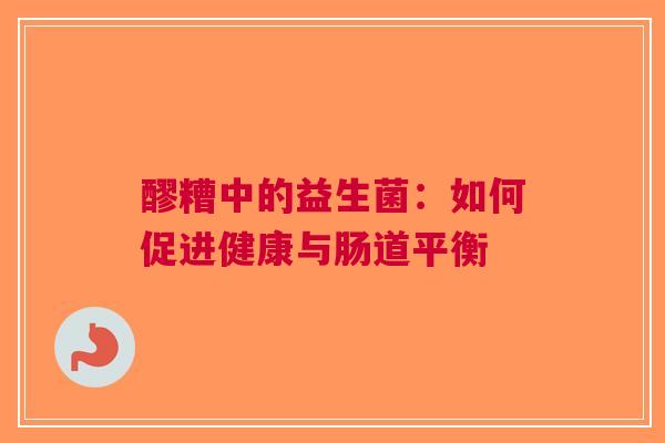 醪糟中的益生菌：如何促进健康与肠道平衡
