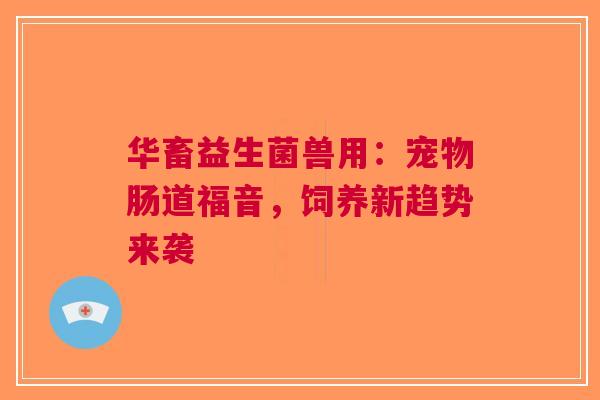 华畜益生菌兽用：宠物肠道福音，饲养新趋势来袭