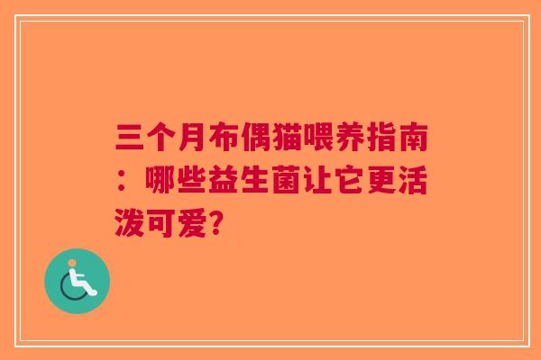 三个月布偶猫喂养指南：哪些益生菌让它更活泼可爱？