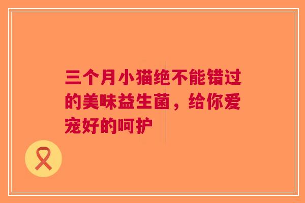 三个月小猫绝不能错过的美味益生菌，给你爱宠好的呵护