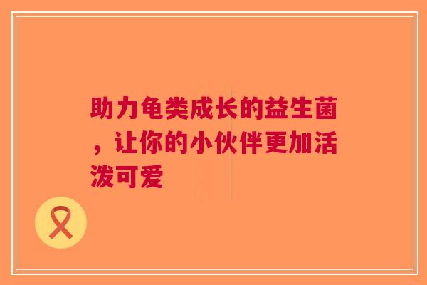 助力龟类成长的益生菌，让你的小伙伴更加活泼可爱