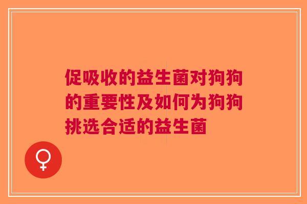促吸收的益生菌对狗狗的重要性及如何为狗狗挑选合适的益生菌