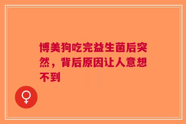 博美狗吃完益生菌后突然，背后原因让人意想不到
