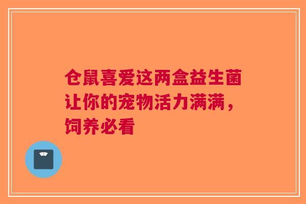 仓鼠喜爱这两盒益生菌让你的宠物活力满满，饲养必看