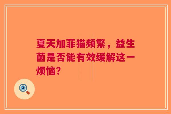 夏天加菲猫频繁，益生菌是否能有效缓解这一烦恼？