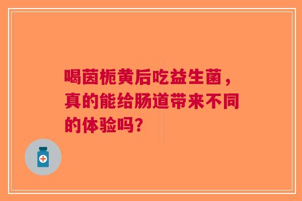 喝茵栀黄后吃益生菌，真的能给肠道带来不同的体验吗？
