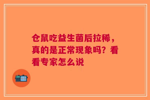 仓鼠吃益生菌后拉稀，真的是正常现象吗？看看专家怎么说