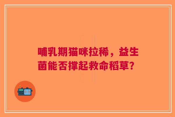 哺乳期猫咪拉稀，益生菌能否撑起救命稻草？