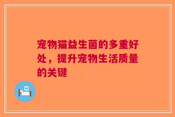 宠物猫益生菌的多重好处，提升宠物生活质量的关键