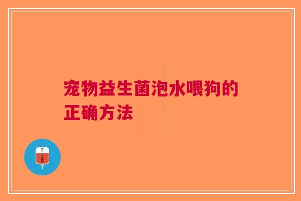 宠物益生菌泡水喂狗的正确方法