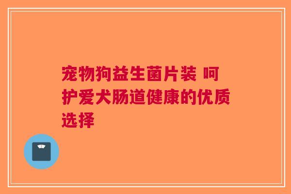宠物狗益生菌片装 呵护爱犬肠道健康的优质选择