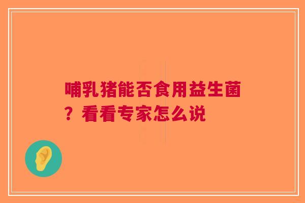 哺乳猪能否食用益生菌？看看专家怎么说