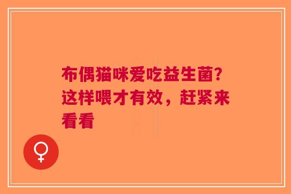 布偶猫咪爱吃益生菌？这样喂才有效，赶紧来看看