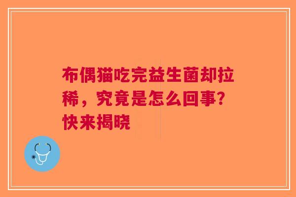 布偶猫吃完益生菌却拉稀，究竟是怎么回事？快来揭晓
