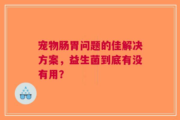 宠物肠胃问题的佳解决方案，益生菌到底有没有用？