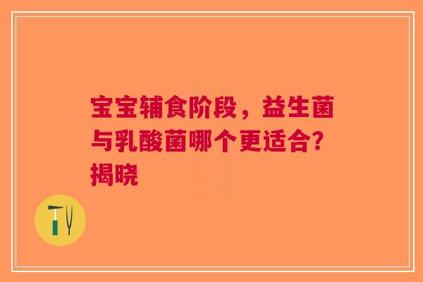 宝宝辅食阶段，益生菌与乳酸菌哪个更适合？揭晓