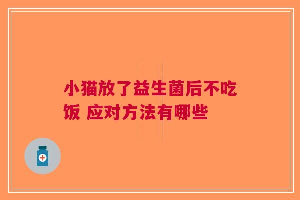 小猫放了益生菌后不吃饭 应对方法有哪些
