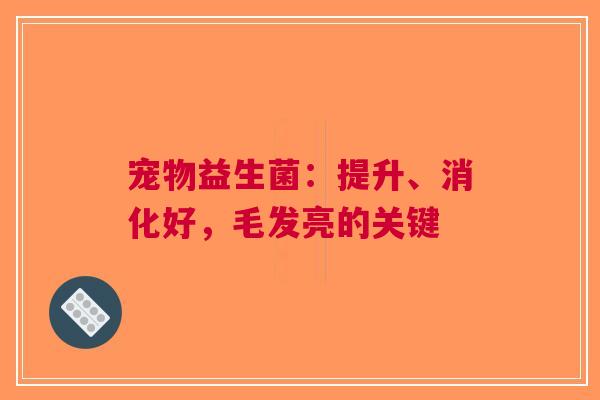 宠物益生菌：提升、消化好，毛发亮的关键