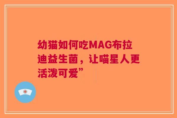 幼猫如何吃MAG布拉迪益生菌，让喵星人更活泼可爱”