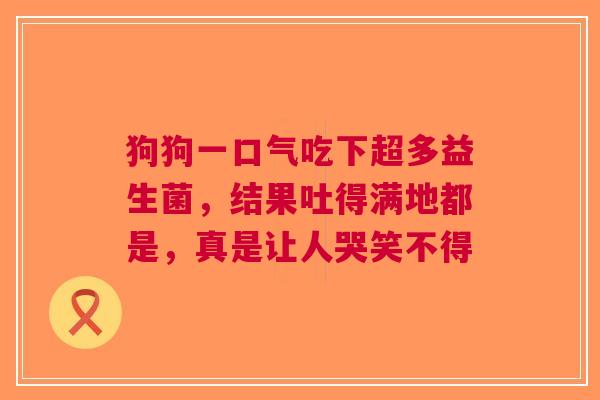 狗狗一口气吃下超多益生菌，结果吐得满地都是，真是让人哭笑不得