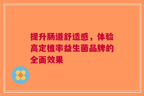提升肠道舒适感，体验高定植率益生菌品牌的全面效果