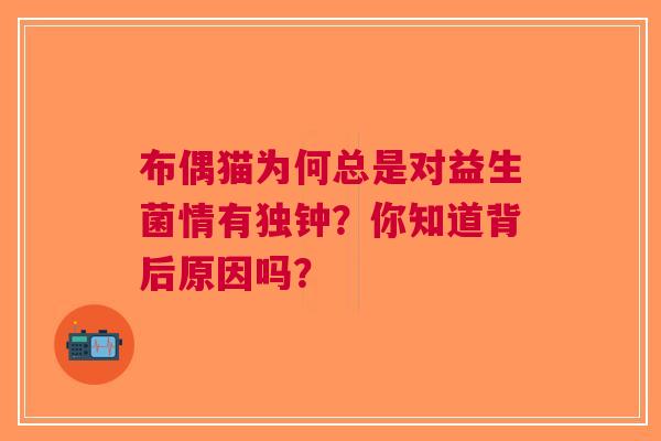布偶猫为何总是对益生菌情有独钟？你知道背后原因吗？