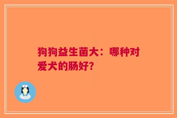 狗狗益生菌大：哪种对爱犬的肠好？