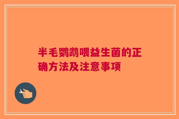 半毛鹦鹉喂益生菌的正确方法及注意事项