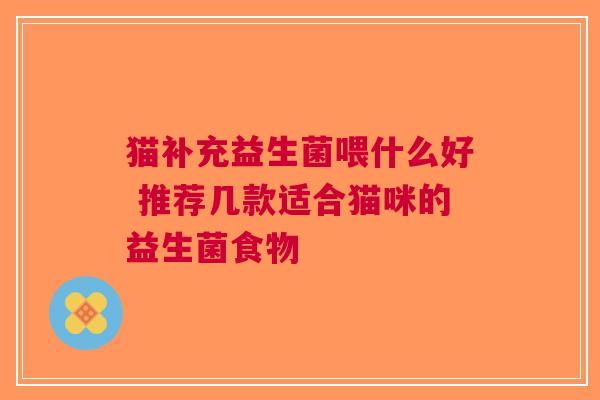 猫补充益生菌喂什么好 推荐几款适合猫咪的益生菌食物