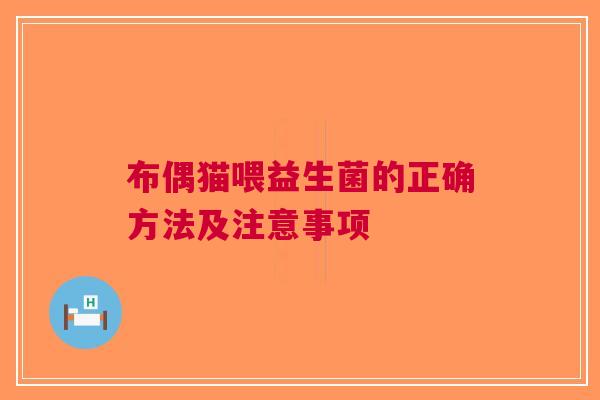 布偶猫喂益生菌的正确方法及注意事项