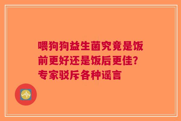 喂狗狗益生菌究竟是饭前更好还是饭后更佳？专家驳斥各种谣言