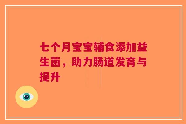 七个月宝宝辅食添加益生菌，助力肠道发育与提升