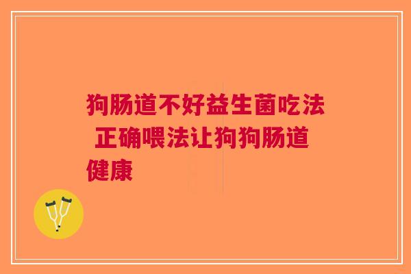狗肠道不好益生菌吃法 正确喂法让狗狗肠道健康