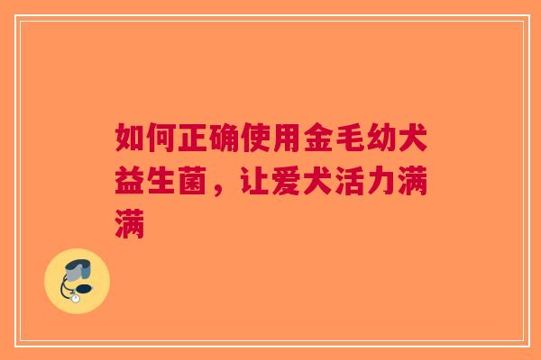 如何正确使用金毛幼犬益生菌，让爱犬活力满满