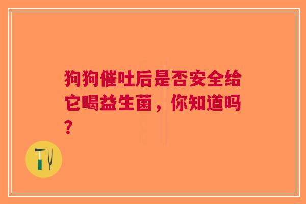 狗狗催吐后是否安全给它喝益生菌，你知道吗？
