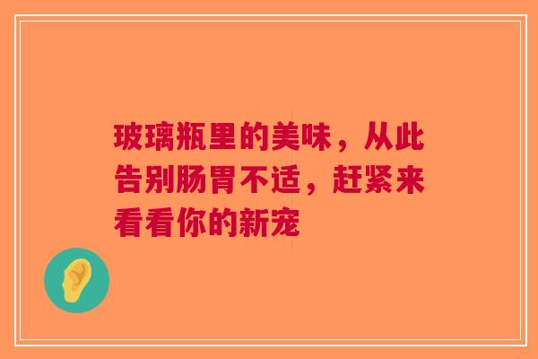 玻璃瓶里的美味，从此告别肠胃不适，赶紧来看看你的新宠