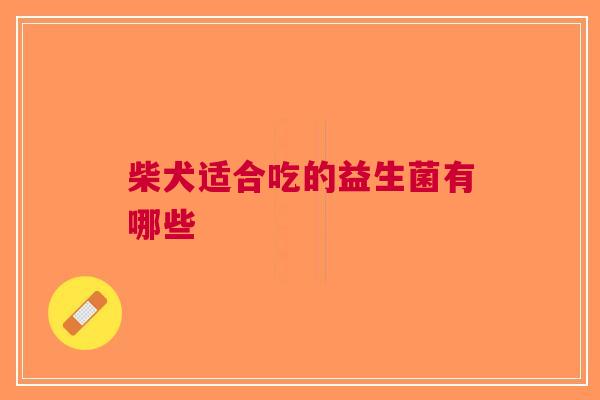 柴犬适合吃的益生菌有哪些