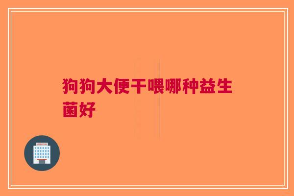 狗狗大便干喂哪种益生菌好