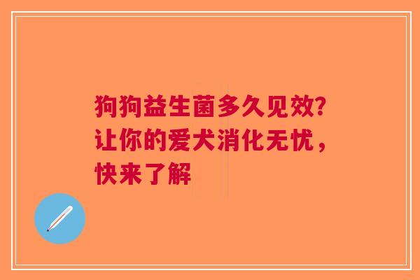 狗狗益生菌多久见效？让你的爱犬消化无忧，快来了解