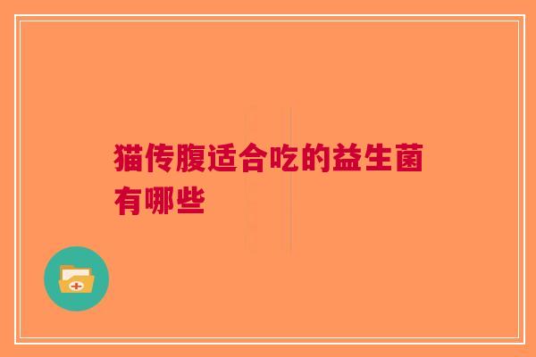 猫传腹适合吃的益生菌有哪些