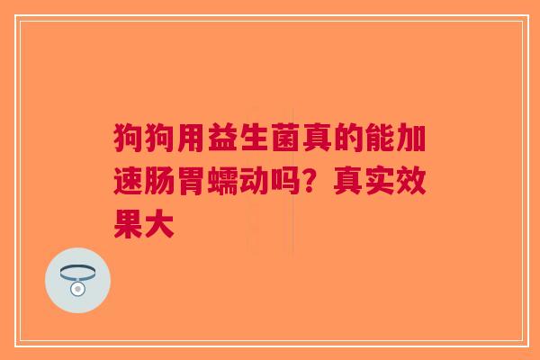 狗狗用益生菌真的能加速肠胃蠕动吗？真实效果大