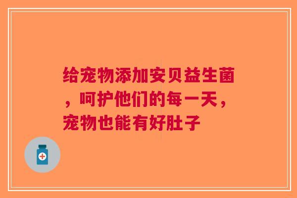 给宠物添加安贝益生菌，呵护他们的每一天，宠物也能有好肚子