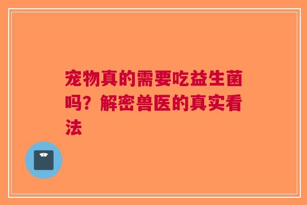 宠物真的需要吃益生菌吗？解密兽医的真实看法