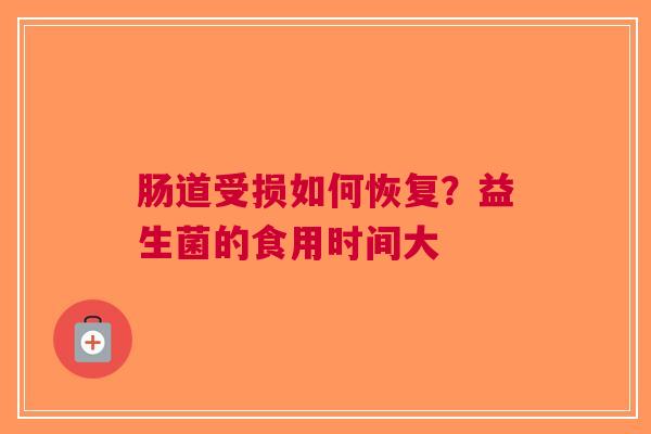 肠道受损如何恢复？益生菌的食用时间大