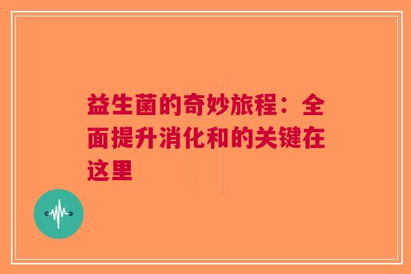 益生菌的奇妙旅程：全面提升消化和的关键在这里