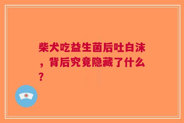柴犬吃益生菌后吐白沫，背后究竟隐藏了什么？