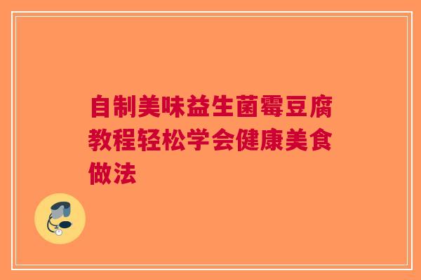 自制美味益生菌霉豆腐教程轻松学会健康美食做法